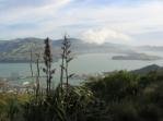 View from Christchurch Gondola